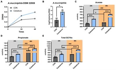 Utilization of Ningxiang pig milk oligosaccharides by Akkermansia muciniphila in vitro fermentation: enhancing neonatal piglet survival